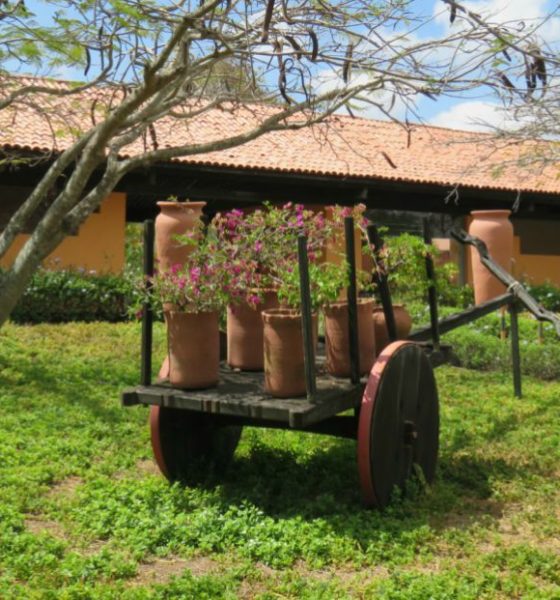Descubra o turismo rural de Pernambuco