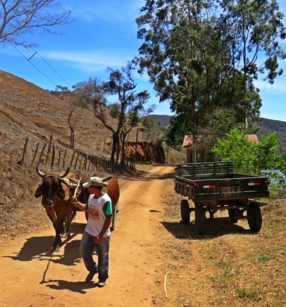 Fazenda Brejo: a experiência da vida no campo no agreste pernambucano