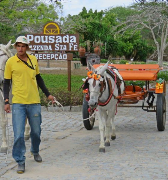 Pousada Fazenda Santa Fé: puro charme no agreste de Pernambuco
