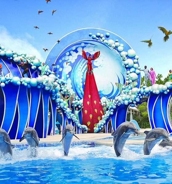 SeaWorld Orlando anuncia novo show com golfinhos