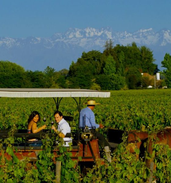 Qual a melhor época para fazer turismo de vinho no Chile?