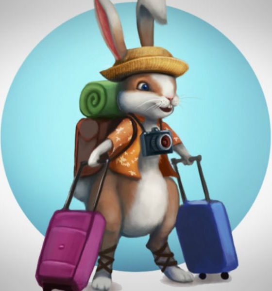 Seguro viagem com 15% de desconto; com essa até o coelho vai viajar!