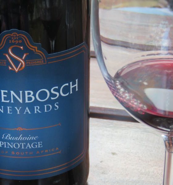 Constantia e Stellenbosch: um passeio por regiões vinícolas do Cabo