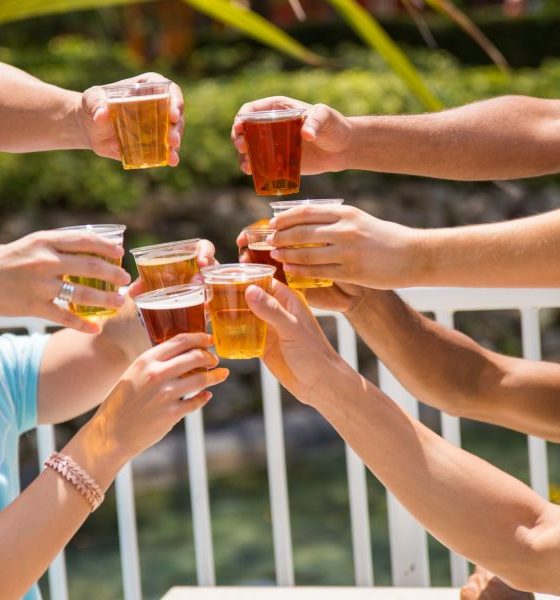 SeaWorld Orlando anuncia festival de cerveja artesanal