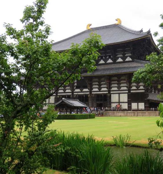 Nara: uma visita à primeira capital do Japão