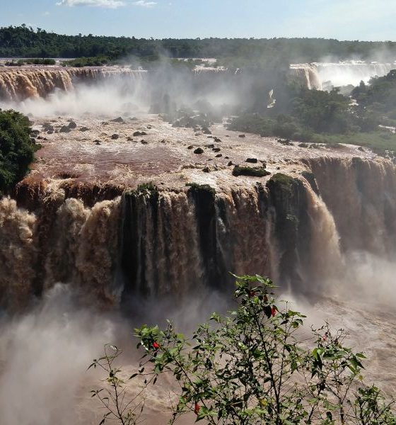 Foz do Iguaçu: tudo o que você precisa saber e como planejar a sua viagem