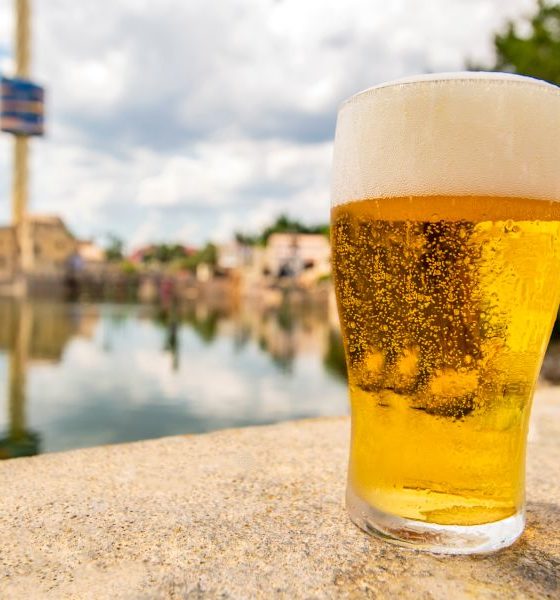 Sea World Orlando brinda visitantes com cerveja de graça até setembro