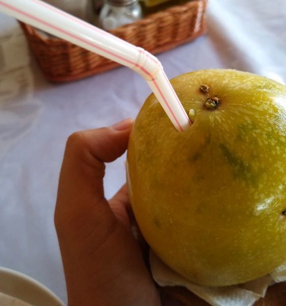 Maracuchaça: prove o sabor único de Ubajara, no interior do Ceará