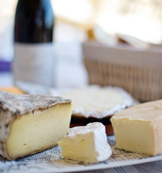 Mapa mundial do queijo: os melhores de cada país
