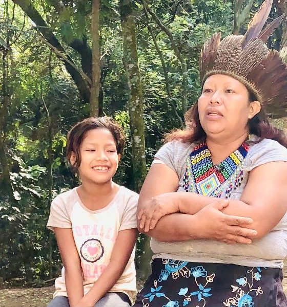 Dia do Índio: faça um passeio vitual por terras Guarani
